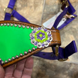 Green/Purple Bronc Halter