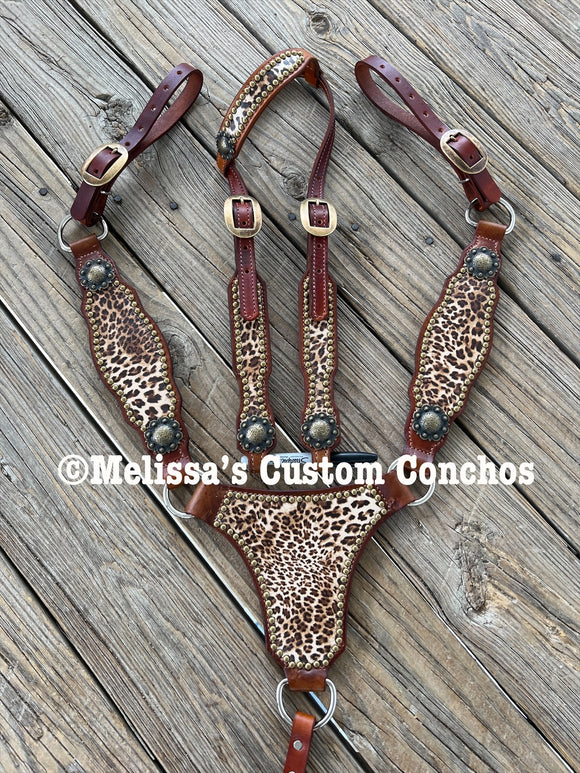 Cheetah Longhorn Tack set