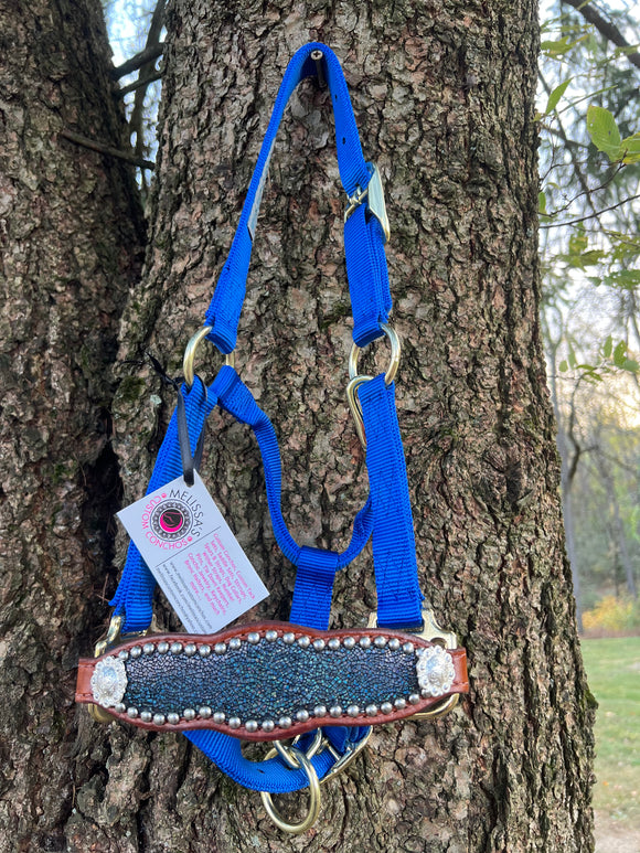 Multi color Pony Bronc Halter