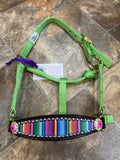 Serape Pony Bronc Halter